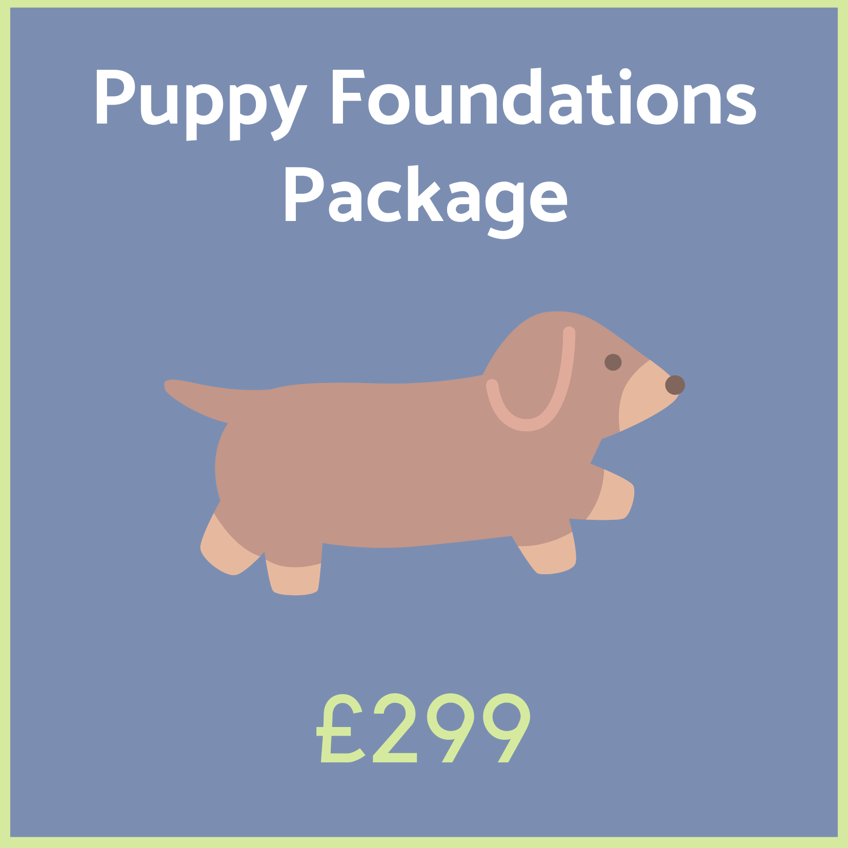 Puppy Foundations Package